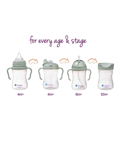 b.box Transition Value Pack-One Cup with 4 Lids for Every Stage of Growth (3M to 12M+) : Includes Medium Flow Teat, Soft Spout, Weighted Straw & Training Cup Lids-Sage Green-240 ml