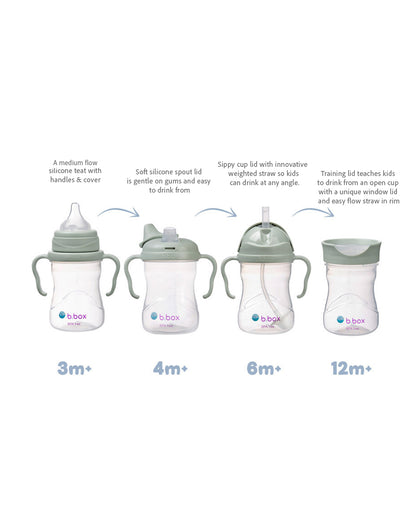 b.box Transition Value Pack-One Cup with 4 Lids for Every Stage of Growth (3M to 12M+) : Includes Medium Flow Teat, Soft Spout, Weighted Straw & Training Cup Lids-Sage Green-240 ml