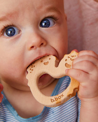 b.box Trio Teether-With Three Textured Teethers-Made of Soft Silicone, Hard Silicone & Beechwood-Supports Sensory Development & Gum Relief-Sage Green-3M+