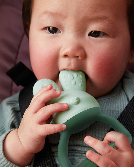 b.box Chill + Fill Teether-Refillable with Ice & Water-Provide Cooling Effect for Inflamed & Achy Gums-Multi Sensory Design & Freestanding Base-Sage Green-3M+