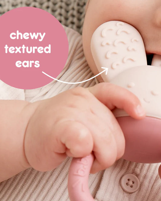 b.box Chill + Fill Teether-Refillable with Ice & Water-Provide Cooling Effect for Inflamed & Achy Gums-Multi Sensory Design & Freestanding Base-Blush Pink-3M+