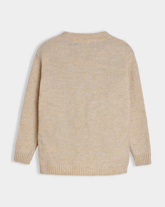 Mi Arcus Beige Sweater-Adventure-Woollen-For Infants