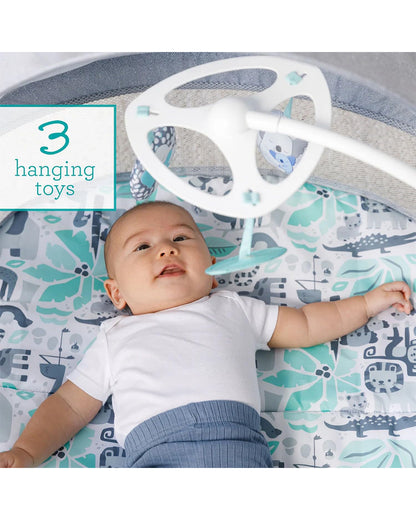 Infantino Sweet Dreams Fold & Go Bassinet-With Removable Mat & Full Cover Canopy-Includes Sensory Engaging Toys-Koala-Grey-For 0 to 9M