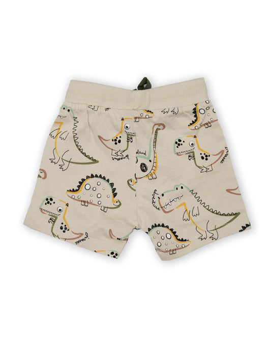 Chicco Sage Green & White T-shirt & Shorts Set-Cotton-Printed-For Infants