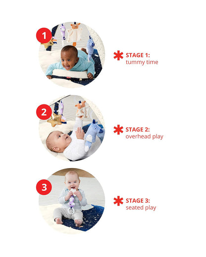 Skip Hop Baby Activity Gym-Celestial Dreams-Multi Sensory Stimulation-Indoor Toy-0M+