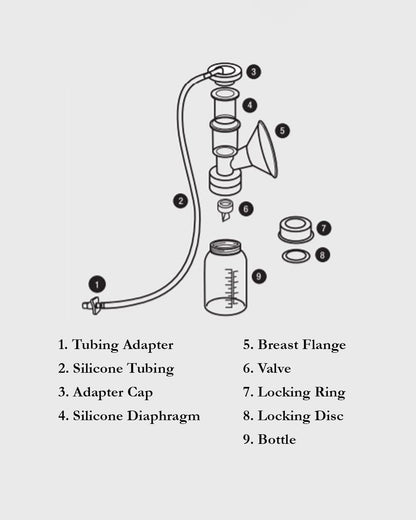 Ameda Universal Single hygiene Kit Milk Collection System-Comprehensive Accessory Kit With Extra Valve Included-BPA/DEHP Free-Universal Compatibility-2 Kits