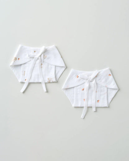 Aariro Honey Bunny Cloth Nappy Combo-100% Organic Cotton-Washable & Reusable-Pack of 2