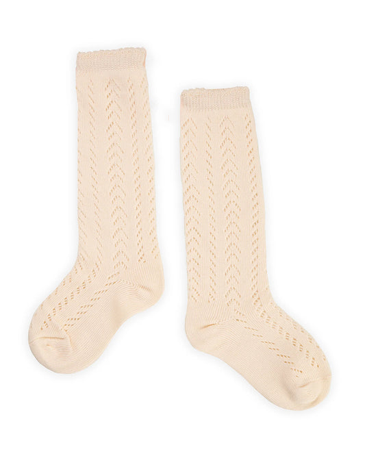 Kicks & Crawl Cream Stockings-Cotton-Solid-For Infants