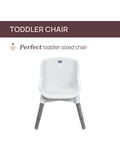 Chicco Polly Zest Baby High Chair-With Feeding Chair, Youth Stool & Baby Chair Mode- 5 Point Harness-Removable Tray-For 6M to 8Y (Upto 40 kg)-Moon Grey