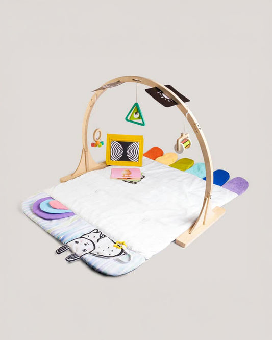 Curious Cub Montessori Inspired Play Gym-Sensory Exploration-0 to 12M