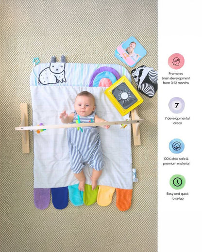 Curious Cub Montessori Inspired Play Gym-Sensory Exploration-0 to 12M