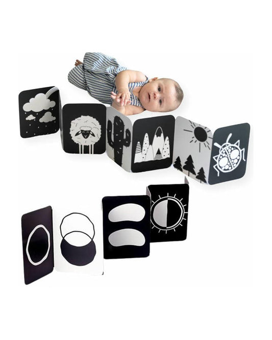 Curious Cub 14 High Contrast Flash Cards-Boosts Brain Skills-Learning & Educational Toys-0 to 3M