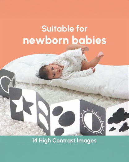 Curious Cub 14 High Contrast Flash Cards-Boosts Brain Skills-Learning & Educational Toys-0 to 3M