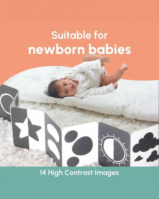 Curious Cub 14 High Contrast Flash Cards-Boosts Brain Skills-Learning & Educational Toys-0 to 3M