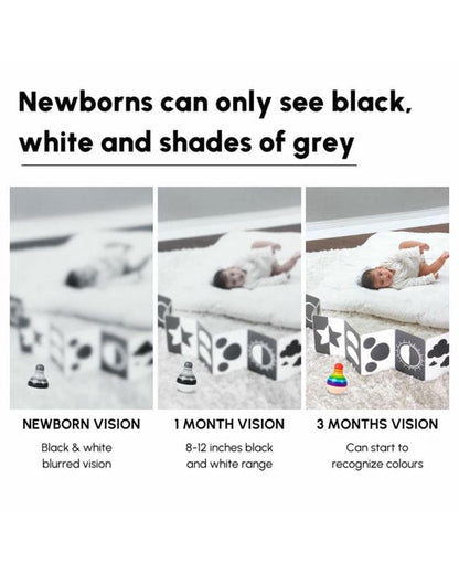 Curious Cub 14 High Contrast Flash Cards-Boosts Brain Skills-Learning & Educational Toys-0 to 3M