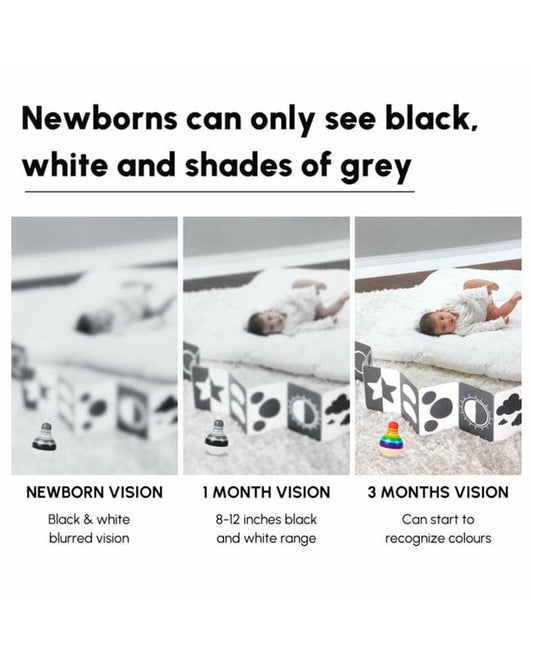 Curious Cub 14 High Contrast Flash Cards-Boosts Brain Skills-Learning & Educational Toys-0 to 3M