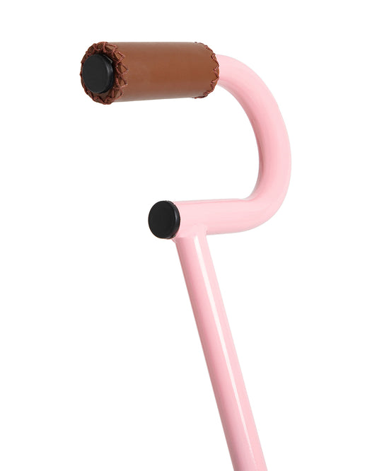 Todds Trike-ISO 8124 Certified-Detachable & Height Adjustable Parent Handlebar-With Birchwood Pedals & Vegan Leather Padded Seat-For 18M+-Popsicle Pink