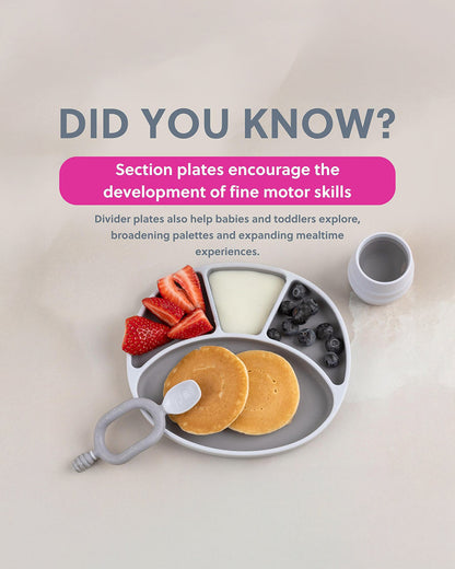Bibado Divider Plate & Handi Cutlery Meal Set-Attachable Weaning Spoon & Fork-Encourages Self Feeding-Pack of 2-Mist