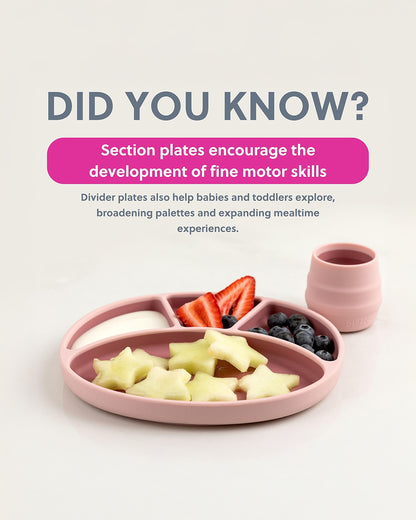 Bibado Silicone Divider Plate-Blush-With Suction Foot-Medical Grade-For Feeding Infants