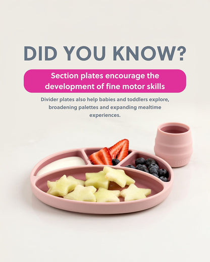Bibado Divider Plate & Handi Cutlery Meal Set-Attachable Weaning Spoon & Fork-Encourages Self Feeding-Pack of 2-Blush