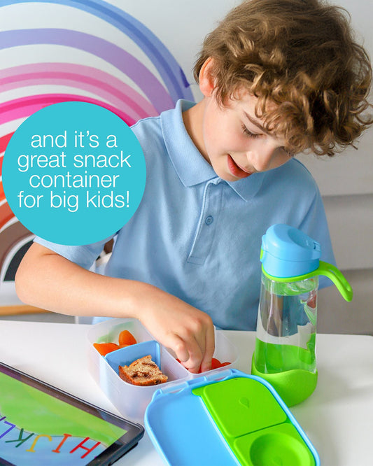 b.box Mini Lunch Box-Leak Proof-Removable Divider-Blush Crush Peach-For Feeding Infants