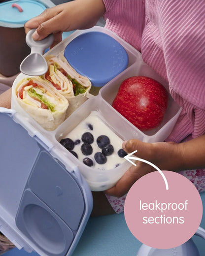 b.box Mini Lunch Box-Leak Proof-Removable Divider-Blush Crush Peach-For Feeding Infants