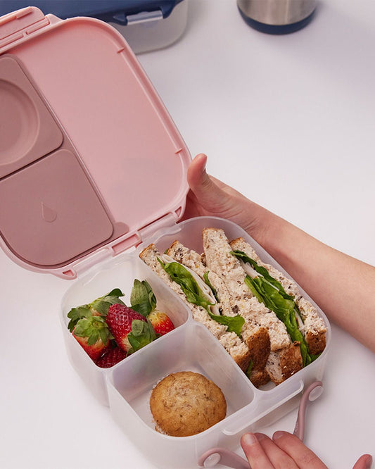 b.box Mini Lunch Box-Leak Proof-Removable Divider-Blush Crush Peach-For Feeding Infants