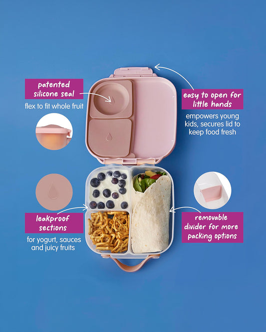 b.box Mini Lunch Box-Leak Proof-Removable Divider-Blush Crush Peach-For Feeding Infants