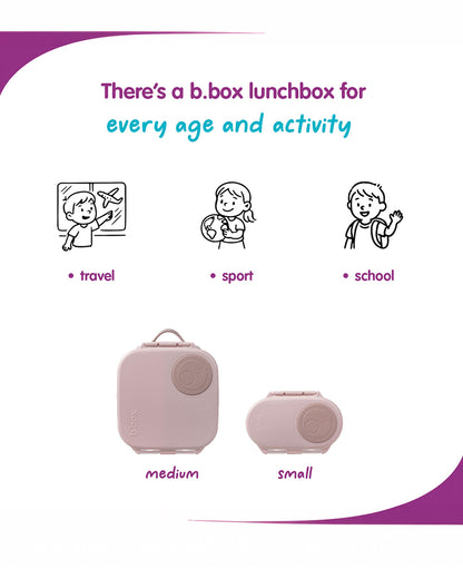 b.box Mini Lunch Box-Leak Proof-Removable Divider-Blush Crush Peach-For Feeding Infants