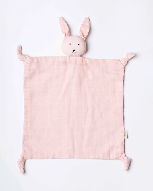 Aariro Newborn Essentials Gift Set For Baby Shower-Pack of 6-Honey Bunny