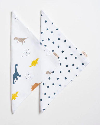 Aariro Newborn Essentials Gift Set For Baby Shower-Pack of 6-Little Dino