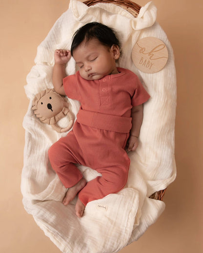 Cot & Candy Baby Red Jogger-Solid-Organic Cotton-For Infants