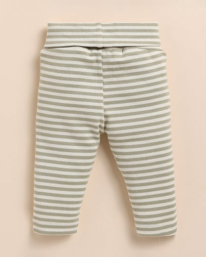 Cot & Candy Baby Sage Legging-Dewkist Stripe-Organic Cotton-For Infants
