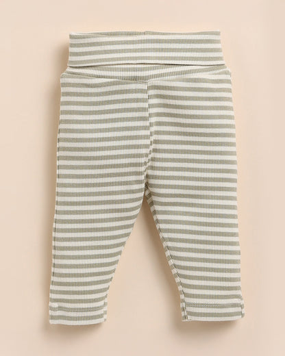 Cot & Candy Baby Sage Legging-Dewkist Stripe-Organic Cotton-For Infants