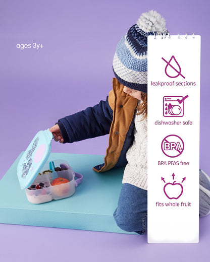 b.box Frozen Mini Lunchbox-Flexi Fruit Holder-Adjustable Divider-1000ml-36M+