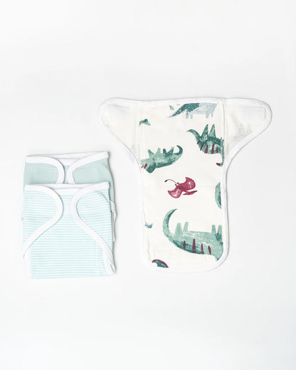 BeeLittle Green Dino Velcro Nappy-Organic Cotton-Washable & Reusable-0 to 3M-Pack of 3