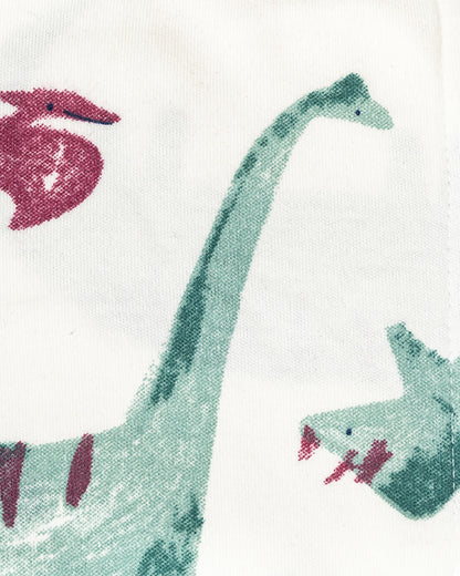 BeeLittle Green Dino Velcro Nappy-Organic Cotton-Washable & Reusable-0 to 3M-Pack of 3