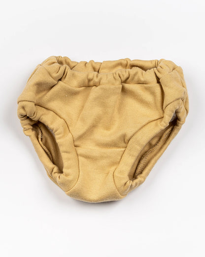 BeeLittle Grey, Cream & Mustard Briefs-Pastel Rainbow-Organic Cotton-Pack of 3-For Infants