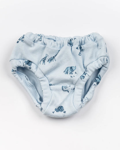 BeeLittle Off White & Light Blue Briefs-Road Trip-Organic Cotton-Pack of 3-For Infants