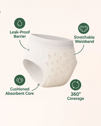 Putchi Disposable Maternity Panty Pad-For Postpartum Recovery-Leak Proof-Day & Night Protection-Pack of 3