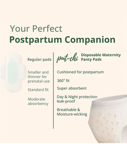 Putchi Disposable Maternity Panty Pad-For Postpartum Recovery-Leak Proof-Day & Night Protection-Pack of 3