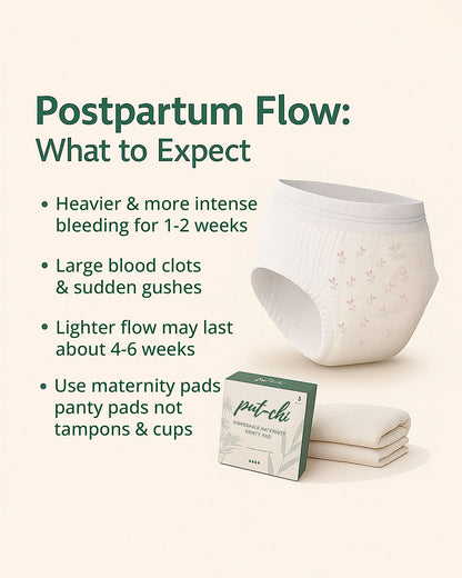 Putchi Disposable Maternity Panty Pad-For Postpartum Recovery-Leak Proof-Day & Night Protection-Pack of 3