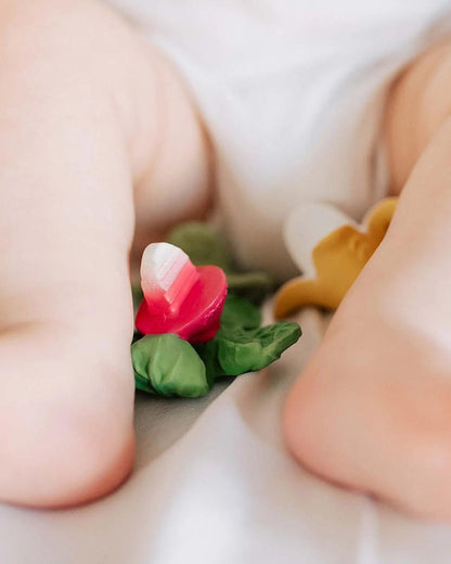 Oli & Carol Ramonita The Radish-Natural Rubber Teether-Easy Grip-0M+