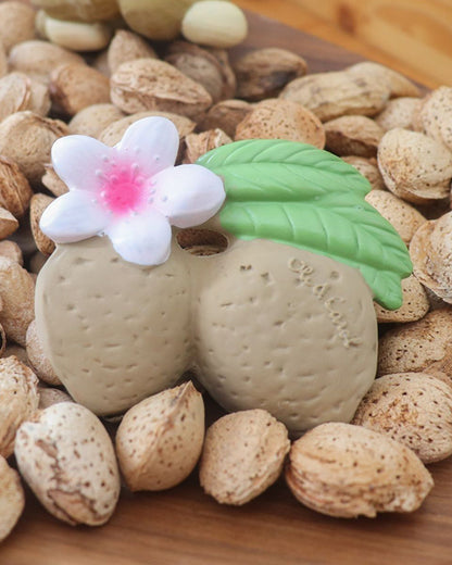 Oli & Carol Aly The Almond-Natural Rubber Teether-Easy Grip-0M+