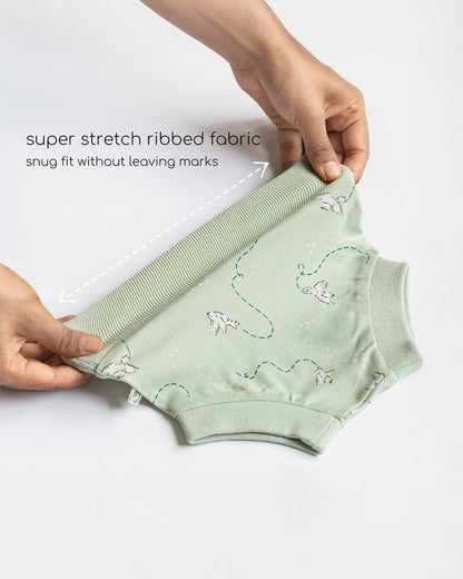 Cocoon Care Sage Green Panty-Freedom Flighter-Bamboo-For Infants