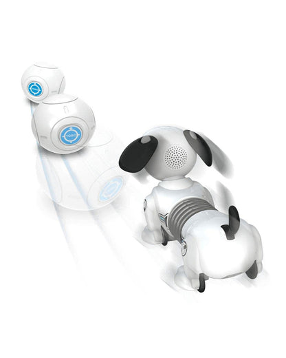 Silverlit YCOO Robo Dackel Jr-SmartBall Auto Follow & Gesture Control-Extendable Body to 26 Cm-5Y+