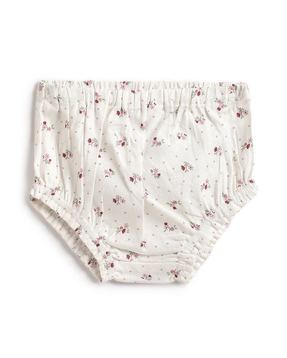 Chicco White & Pastel Pink Dress with Bloomer-Solid-Cotton-For Infants