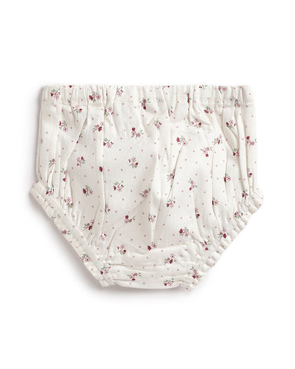 Chicco White & Pastel Pink Dress with Bloomer-Solid-Cotton-For Infants