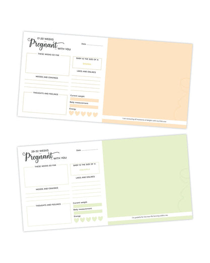 Pegasus Capture Special Moments & Milestones My Pregnancy Record Book-Guided Keepsake Journal With 36 Pages-Ideal For Expecting Parents