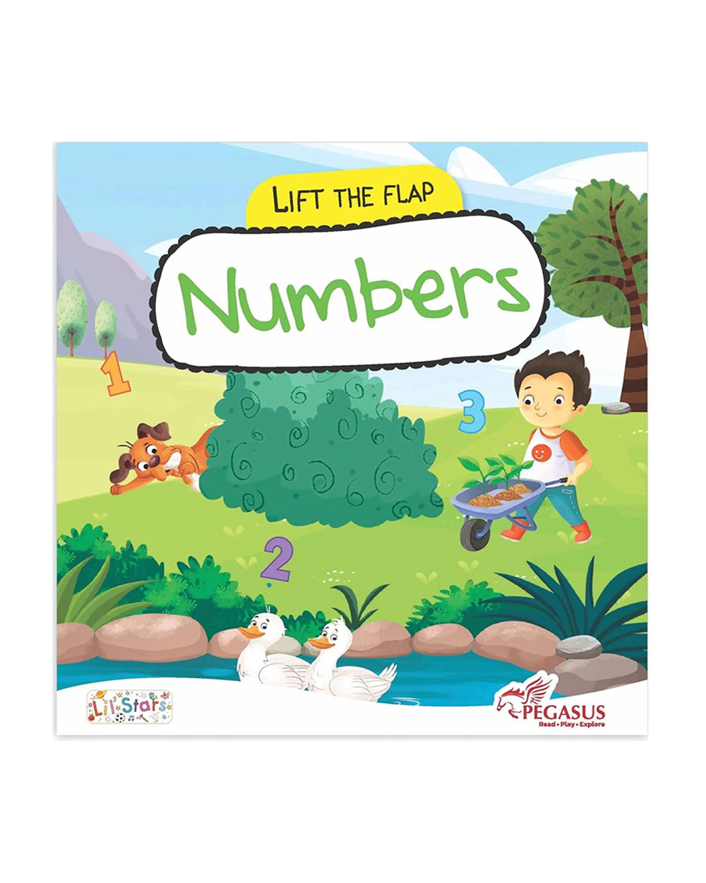 Numbers